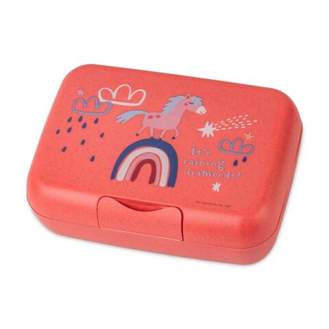 Candy L Lunchbox met Compartiment Dreams