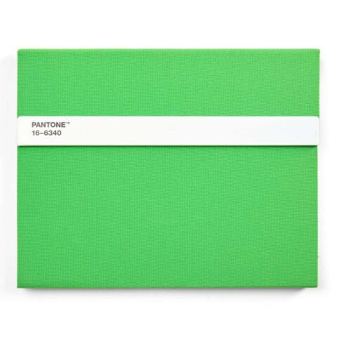 Notitieboek met Potlood - Green 2422 C