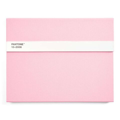Notitieboek Gelinieerd met Potlood - Light Pink 9284 C