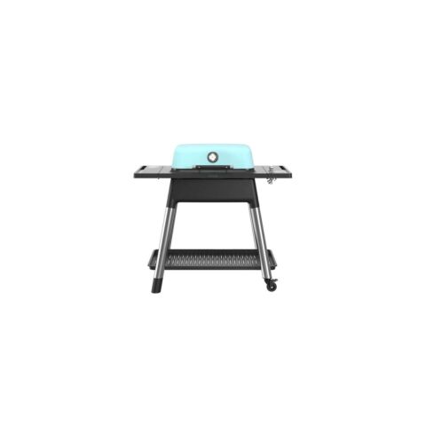 Force Gas Barbecue