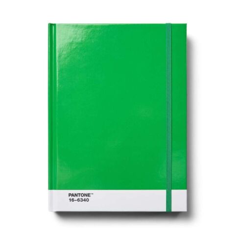 Notitieboek Groot Dotted Pages - Green 16-6340