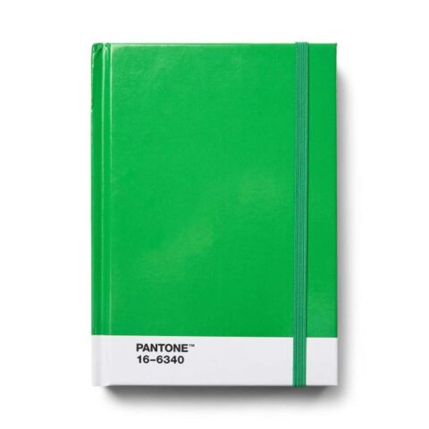 Notitieboek Klein Dotted Pages - Green 16-6340