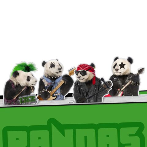 Desktop Pagina Markers Magnetisch Pandas Rock Set van 4 Stuks
