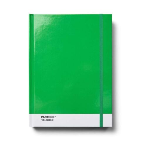 Notitieboek Groot Dotted Pages - Green 16-6340