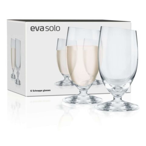 Glas Schnaps Set van 6 Stuks