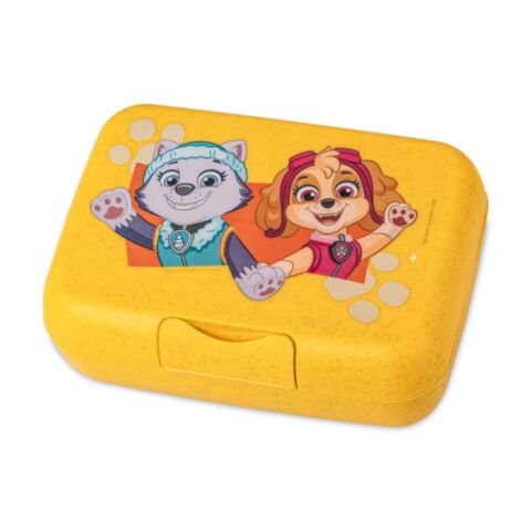 Candy L Lunchbox met Compartiment Grow Paw Patrol
