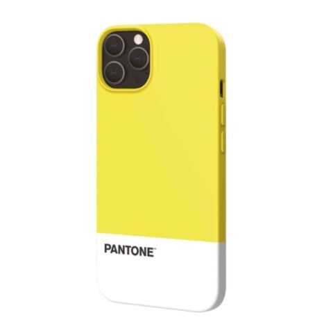 Pantone Back Cover iPhone 13 Pro Max