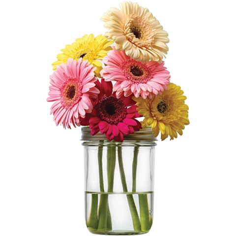 Opzetstuk met Speciale Vakverdeling voor Mason Jars (exclusief Pot)